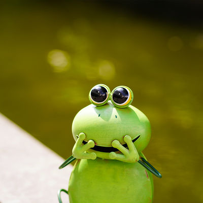 Iron Metal Frog Animal Garden Ornaments Exquisite And Lifelike