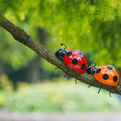 Metal Ladybird Garden Ornaments Cute Metal Insect Decorations