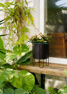 Exquisite Metal Yard Ornaments Decorations Indoor / Outdoor Garden Pot