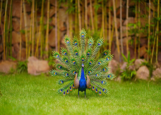 Gorgeous Metal Yard Ornaments Eye Catching Metal Peacock Statue Colorful