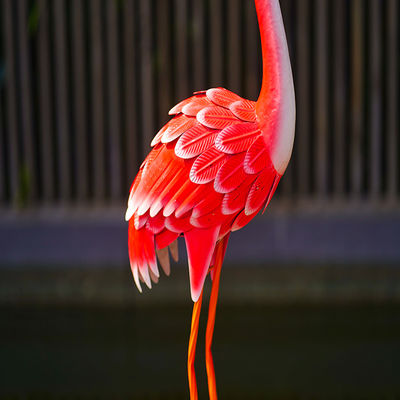 Outdoor Metal Flamingo Yard Decor Lawn Flamingo Metal Statue