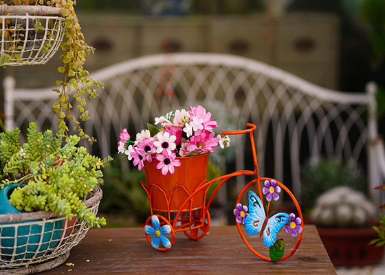 Various Color Design Metal Bicycle Shape Garden Pot Home Decoration