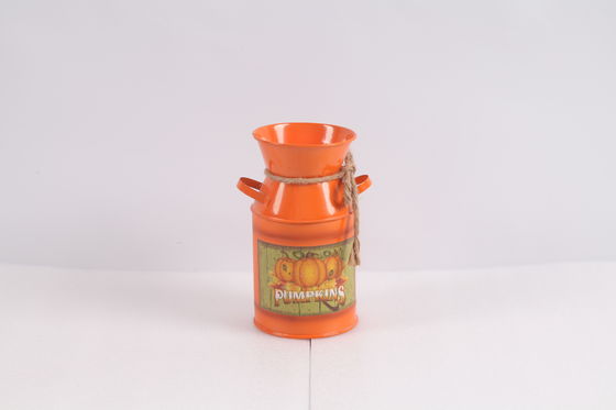 Colorful Iron Vase Indoor Outdoor Placement Metal Decorations