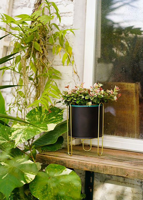 Exquisite Metal Yard Ornaments Decorations Indoor / Outdoor Garden Pot
